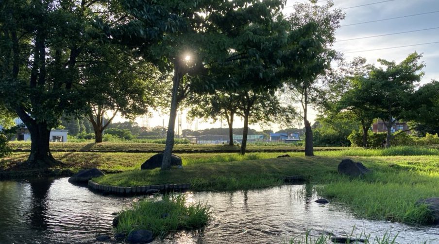 【流山おおたかの森】流山市内の水遊びならココがおすすめ「野々下水辺公園」